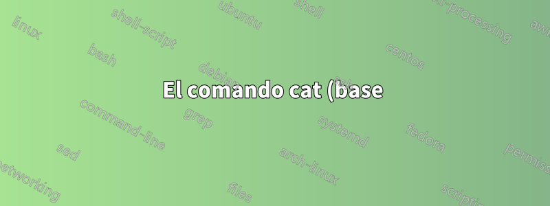 El comando cat (base) no funciona