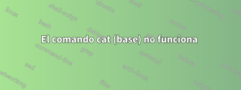 El comando cat (base) no funciona