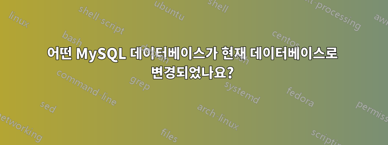 어떤 MySQL 데이터베이스가 현재 데이터베이스로 변경되었나요?