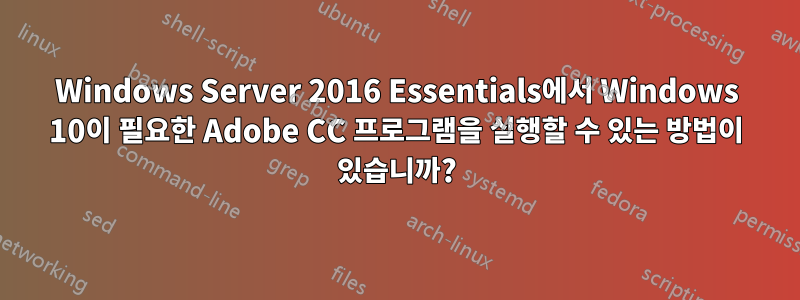 Windows Server 2016 Essentials에서 Windows 10이 필요한 Adobe CC 프로그램을 실행할 수 있는 방법이 있습니까?