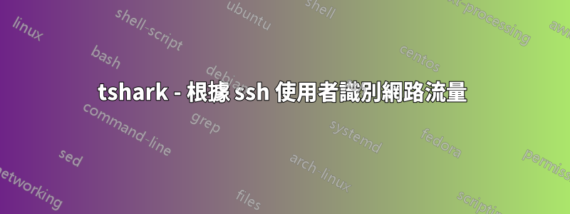 tshark - 根據 ssh 使用者識別網路流量