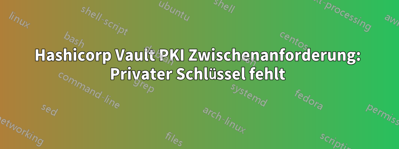 Hashicorp Vault PKI Zwischenanforderung: Privater Schlüssel fehlt