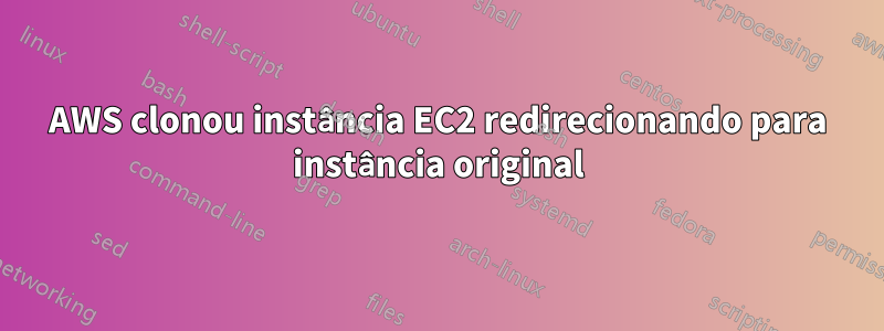 AWS clonou instância EC2 redirecionando para instância original