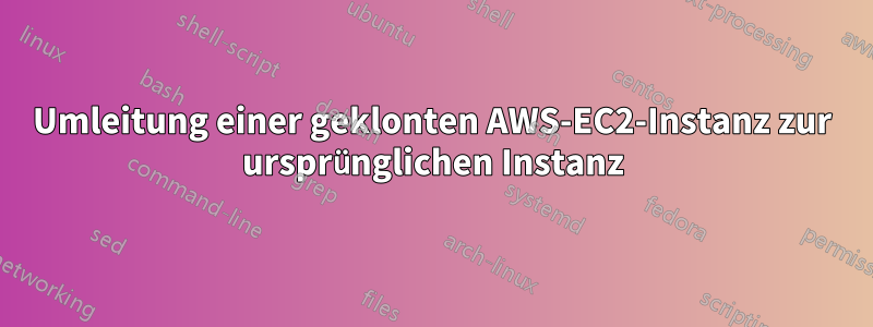 Umleitung einer geklonten AWS-EC2-Instanz zur ursprünglichen Instanz