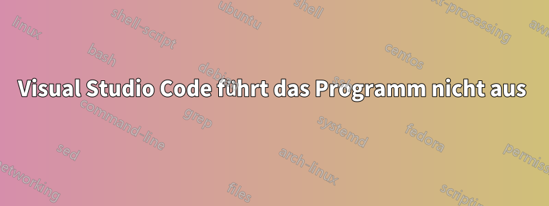 Visual Studio Code führt das Programm nicht aus