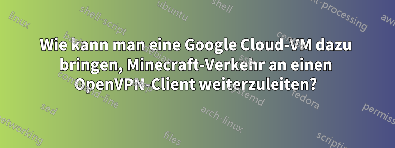 Wie kann man eine Google Cloud-VM dazu bringen, Minecraft-Verkehr an einen OpenVPN-Client weiterzuleiten?