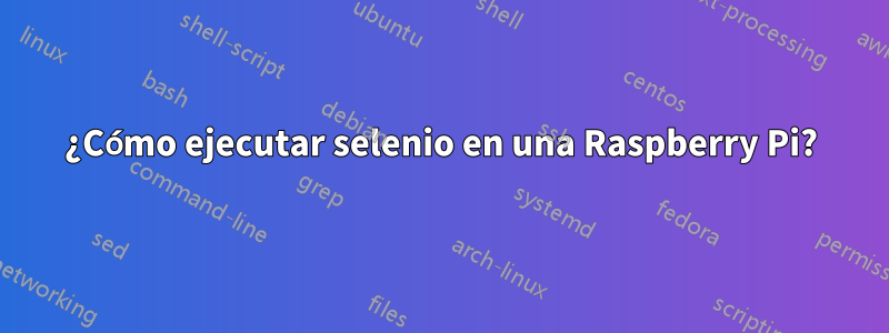 ¿Cómo ejecutar selenio en una Raspberry Pi?