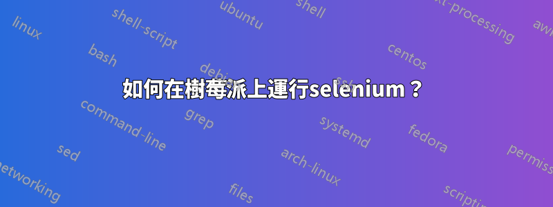 如何在樹莓派上運行selenium？