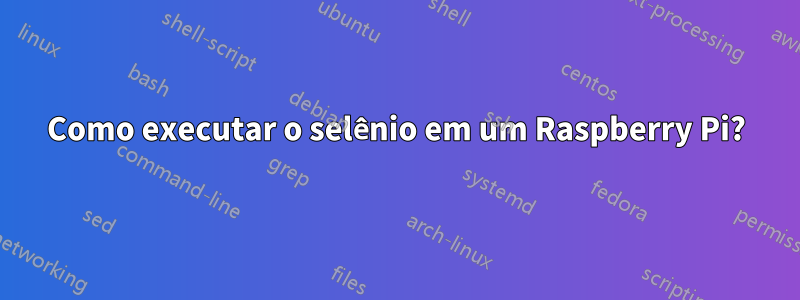 Como executar o selênio em um Raspberry Pi?