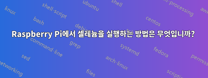 Raspberry Pi에서 셀레늄을 실행하는 방법은 무엇입니까?