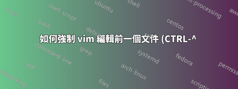 如何強制 vim 編輯前一個文件 (CTRL-^)