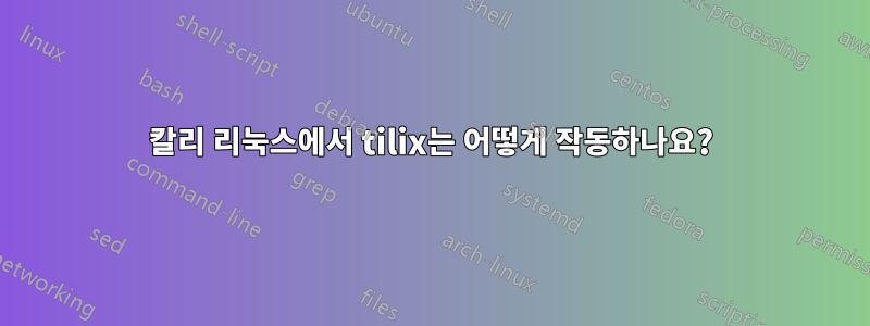 칼리 리눅스에서 tilix는 어떻게 작동하나요?