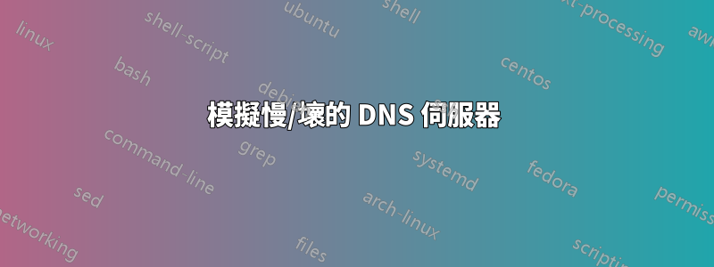 模擬慢/壞的 DNS 伺服器