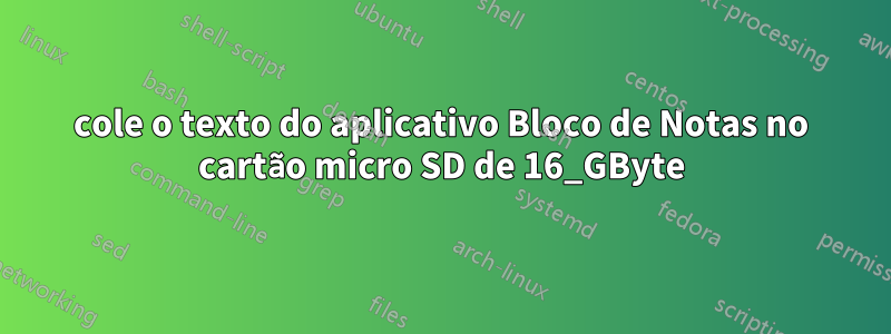 cole o texto do aplicativo Bloco de Notas no cartão micro SD de 16_GByte