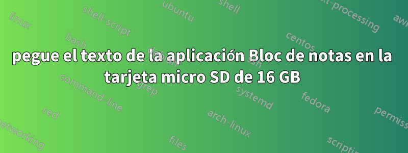 pegue el texto de la aplicación Bloc de notas en la tarjeta micro SD de 16 GB