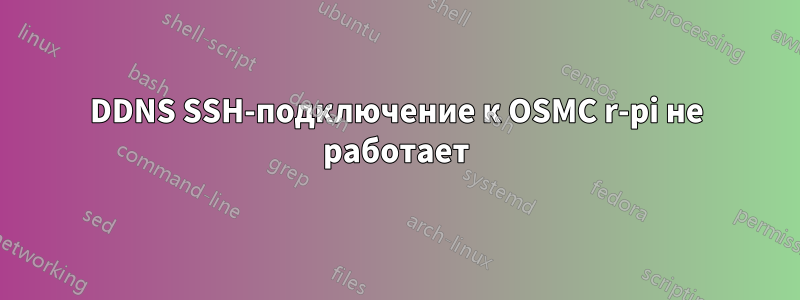 DDNS SSH-подключение к OSMC r-pi не работает