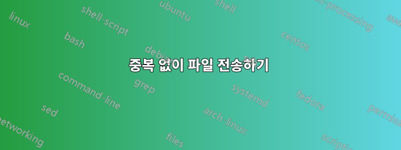 중복 없이 파일 전송하기