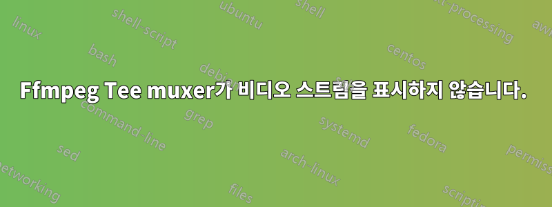 Ffmpeg Tee muxer가 비디오 스트림을 표시하지 않습니다.