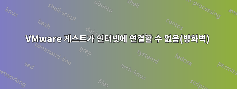 VMware 게스트가 인터넷에 연결할 수 없음(방화벽)