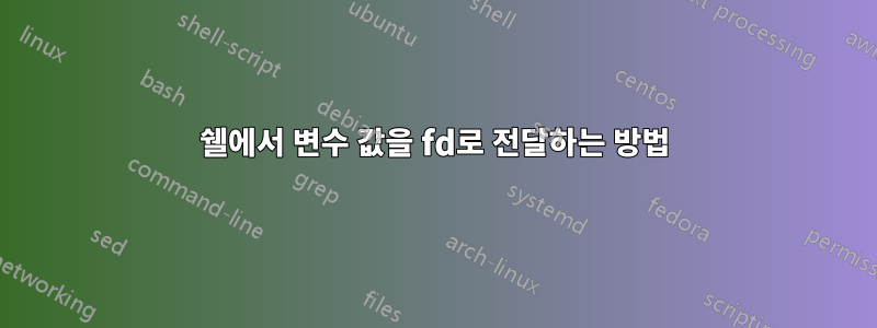 쉘에서 변수 값을 fd로 전달하는 방법