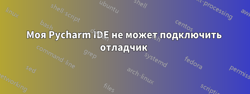 Моя Pycharm IDE не может подключить отладчик