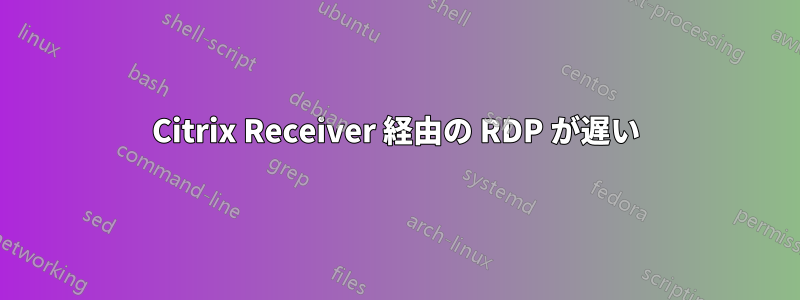 Citrix Receiver 経由の RDP が遅い