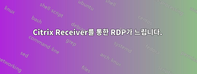 Citrix Receiver를 통한 RDP가 느립니다.