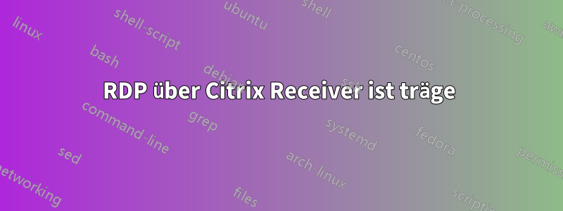 RDP über Citrix Receiver ist träge