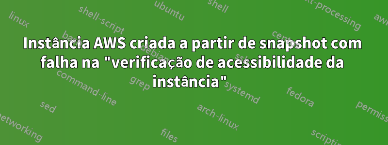 Instância AWS criada a partir de snapshot com falha na "verificação de acessibilidade da instância"