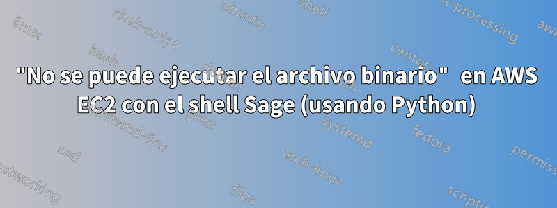 "No se puede ejecutar el archivo binario" en AWS EC2 con el shell Sage (usando Python)