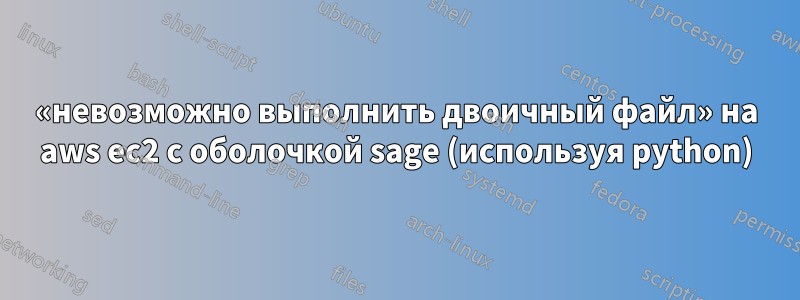 «невозможно выполнить двоичный файл» на aws ec2 с оболочкой sage (используя python)