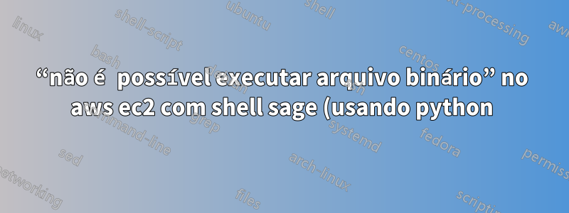 “não é possível executar arquivo binário” no aws ec2 com shell sage (usando python)