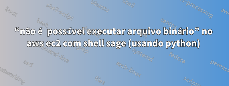 “não é possível executar arquivo binário” no aws ec2 com shell sage (usando python)