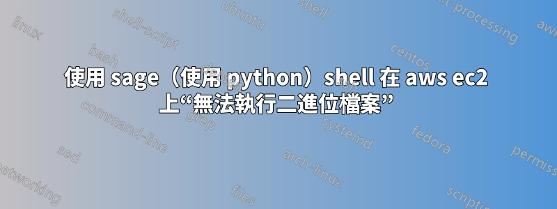 使用 sage（使用 python）shell 在 aws ec2 上“無法執行二進位檔案”