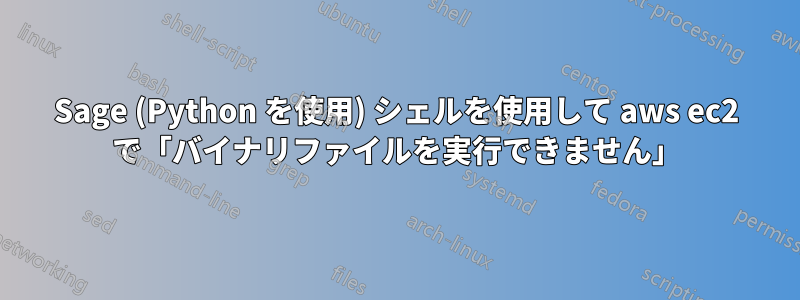 Sage (Python を使用) シェルを使用して aws ec2 で「バイナリファイルを実行できません」