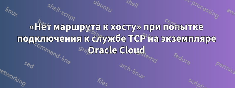 «Нет маршрута к хосту» при попытке подключения к службе TCP на экземпляре Oracle Cloud