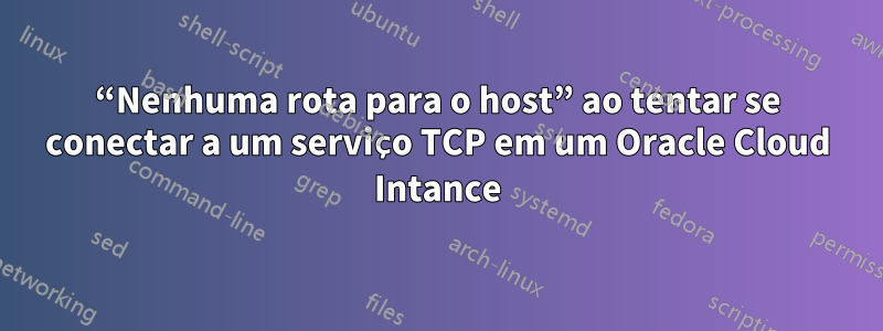 “Nenhuma rota para o host” ao tentar se conectar a um serviço TCP em um Oracle Cloud Intance