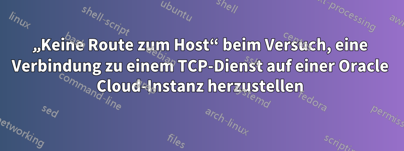 „Keine Route zum Host“ beim Versuch, eine Verbindung zu einem TCP-Dienst auf einer Oracle Cloud-Instanz herzustellen