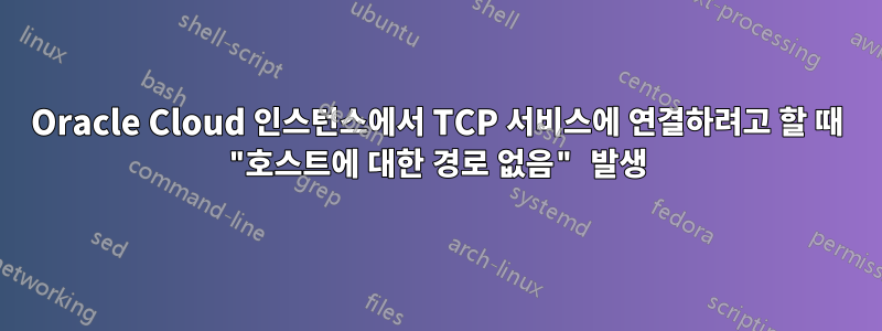 Oracle Cloud 인스턴스에서 TCP 서비스에 연결하려고 할 때 "호스트에 대한 경로 없음" 발생