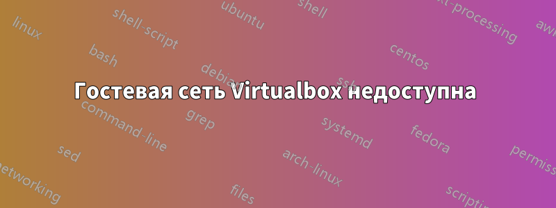 Гостевая сеть Virtualbox недоступна