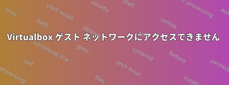 Virtualbox ゲスト ネットワークにアクセスできません