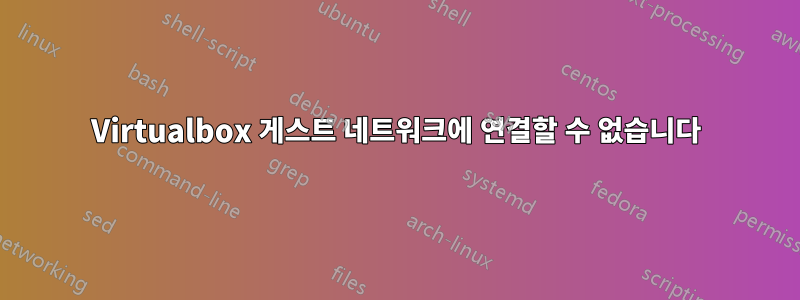 Virtualbox 게스트 네트워크에 연결할 수 없습니다