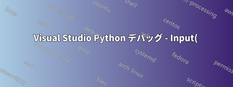 Visual Studio Python デバッグ - Input() 関数エラー