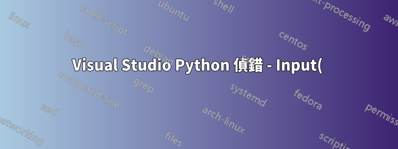 Visual Studio Python 偵錯 - Input() 函數錯誤