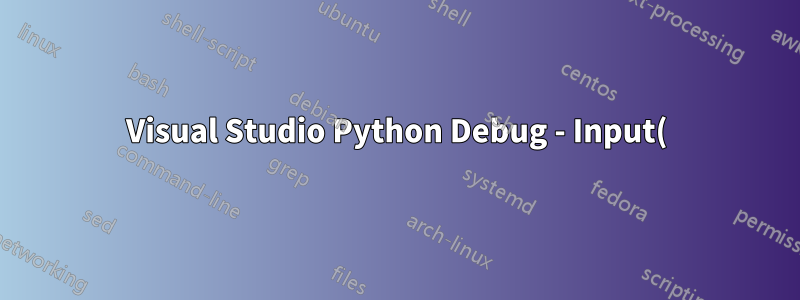 Visual Studio Python Debug - Input()-Funktionsfehler