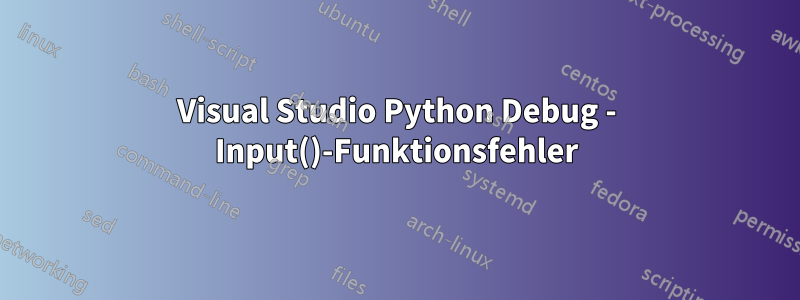 Visual Studio Python Debug - Input()-Funktionsfehler