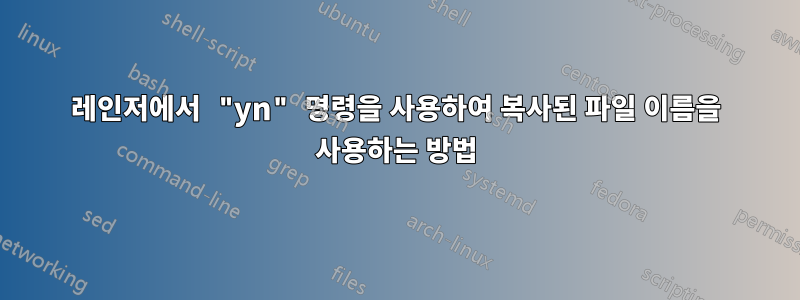 레인저에서 "yn" 명령을 사용하여 복사된 파일 이름을 사용하는 방법