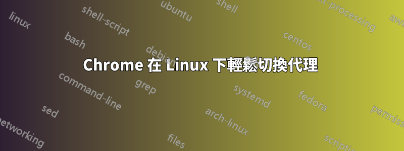 Chrome 在 Linux 下輕鬆切換代理