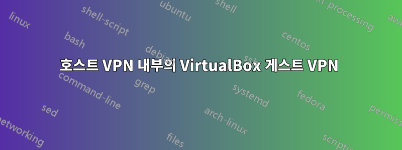 호스트 VPN 내부의 VirtualBox 게스트 VPN