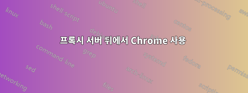 프록시 서버 뒤에서 Chrome 사용